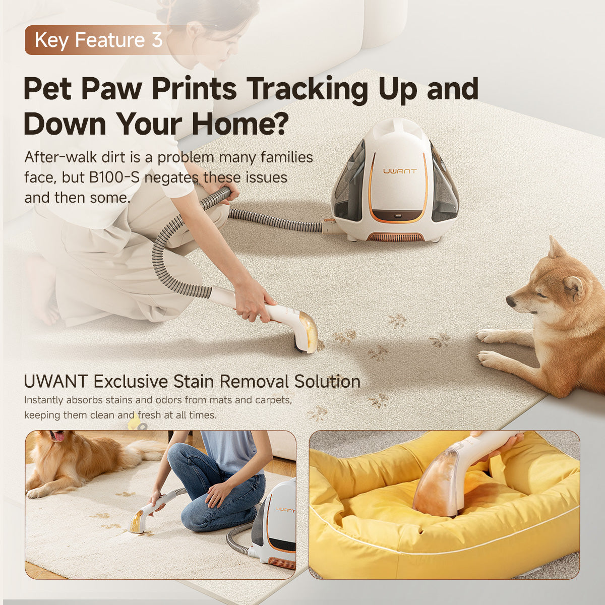 UWANT B100-S Spot Cleaner