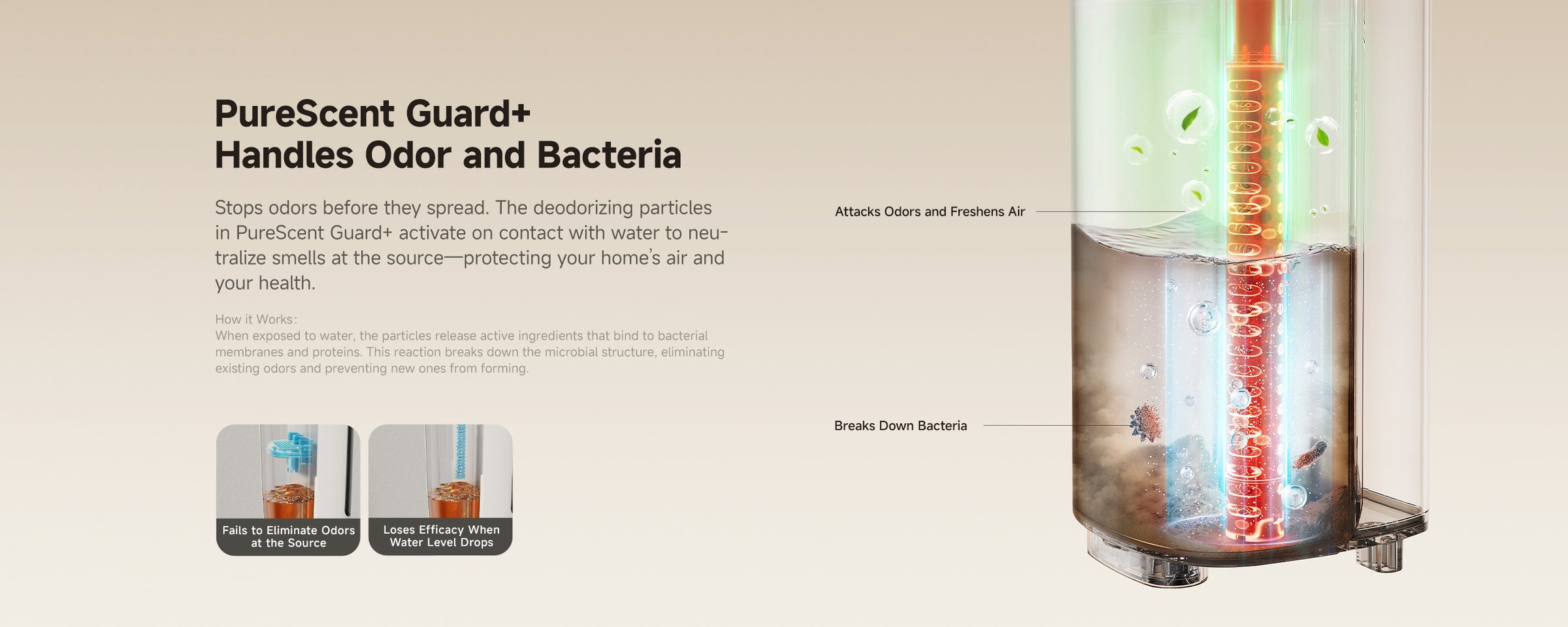 Product detail image